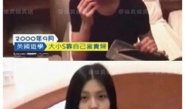 王艳家保姆的爆料视频在线观看,揭秘明星家庭真实生活